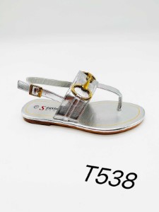 T538 SILVER