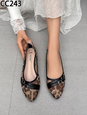 CC243 LEOPARD
