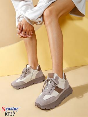KT37 KHAKI 8 pairs